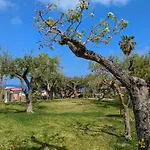 Hotel Villaggio La Pizzuta Parghelia