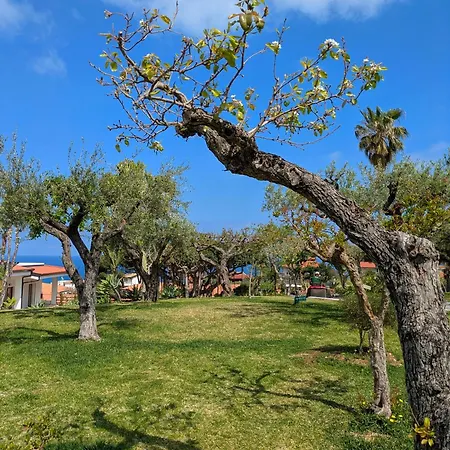 فندق Villaggio La Pizzuta بارغيليا