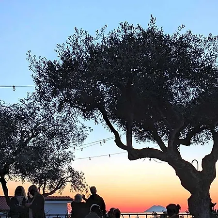 فندق Villaggio La Pizzuta بارغيليا